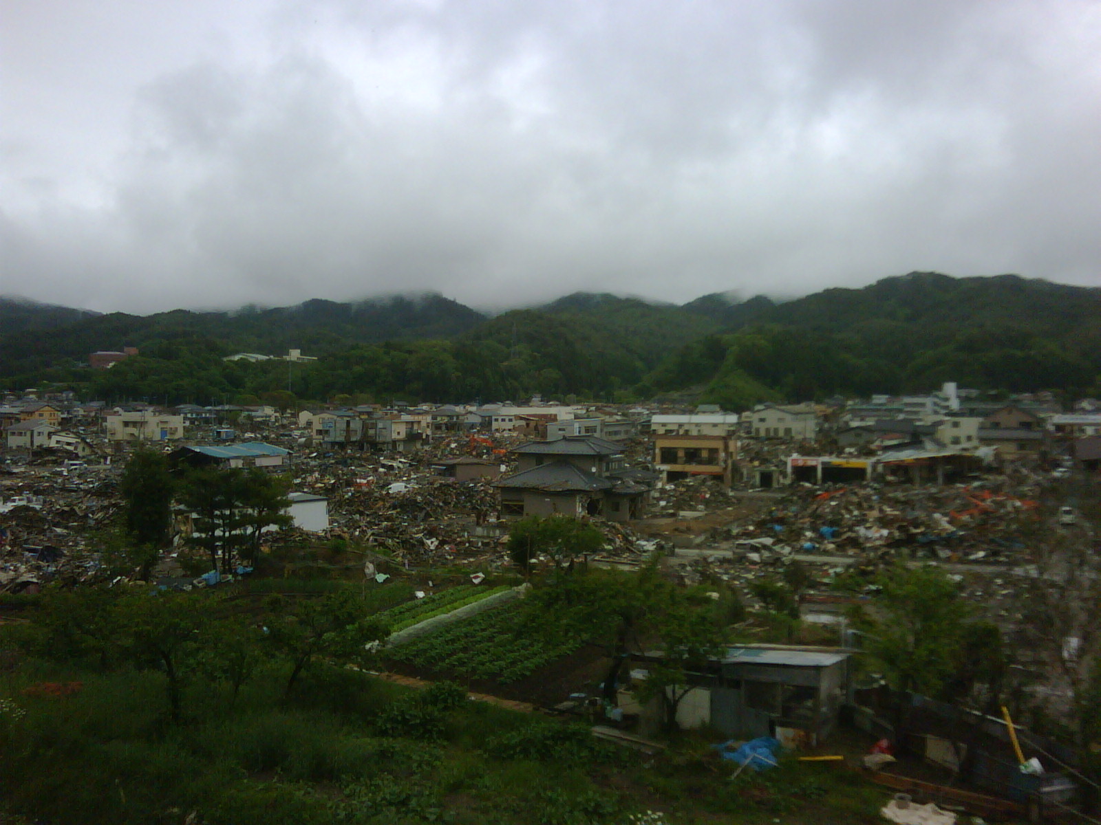 IMG00284-20110529-1159.jpg