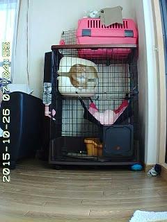 20151026_073457.jpg