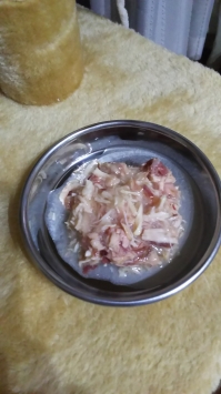 DSC_0480.JPG