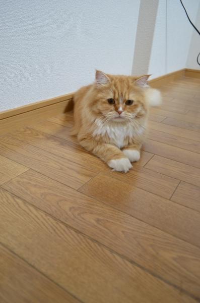 DSC_0581.JPG