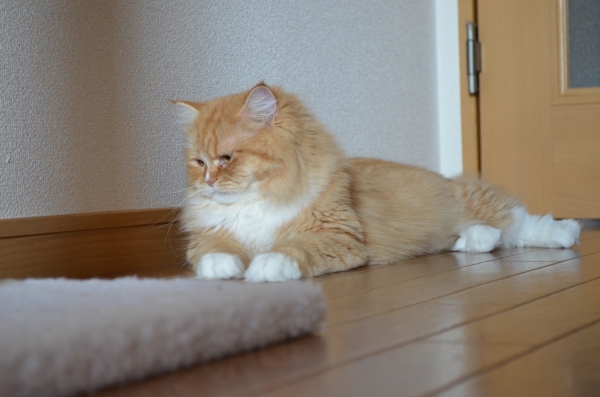 DSC_0795.JPG