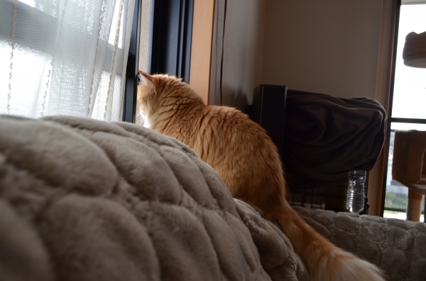 DSC_0871.JPG