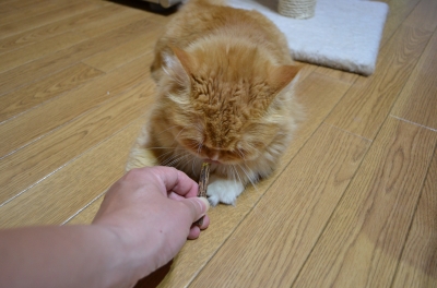 DSC_1039.JPG