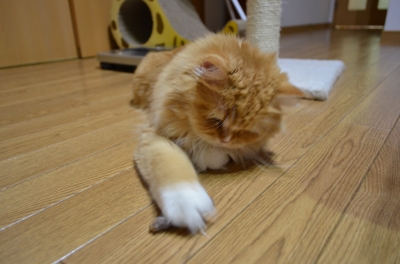 DSC_1034.JPG