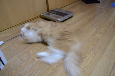 DSC_1201.JPG