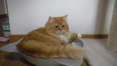 DSCN0442.JPG