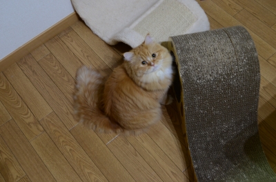 DSC_1793.JPG