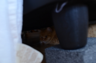 DSC_1864.JPG