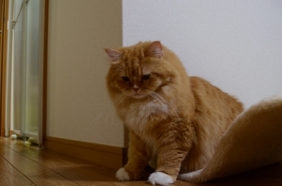 DSC_2002.JPG
