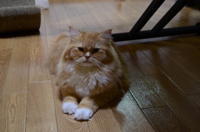 DSC_1980.JPG