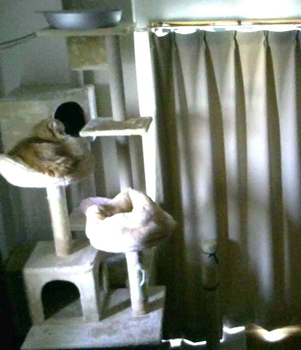 cam1.jpg