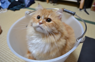 DSC_2267.JPG