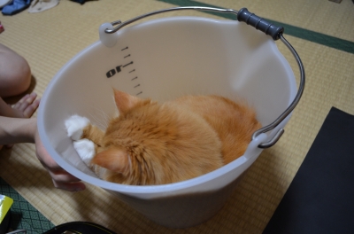 DSC_2250.JPG