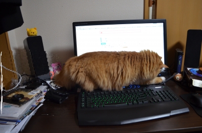 PC2.jpg
