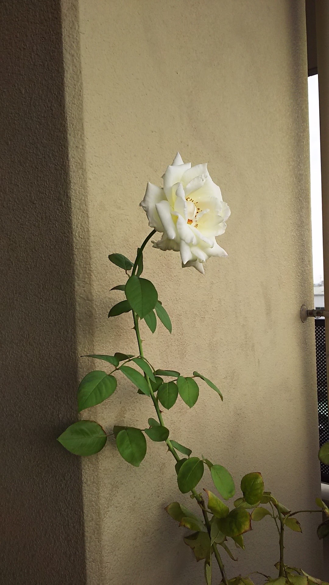 DSC_1548.jpg