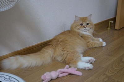 NIK_2755.JPG
