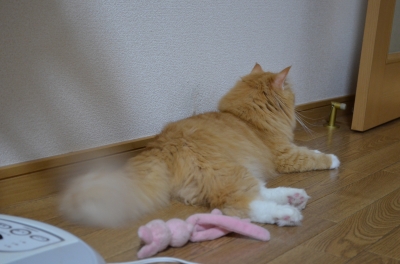 NIK_2762.JPG