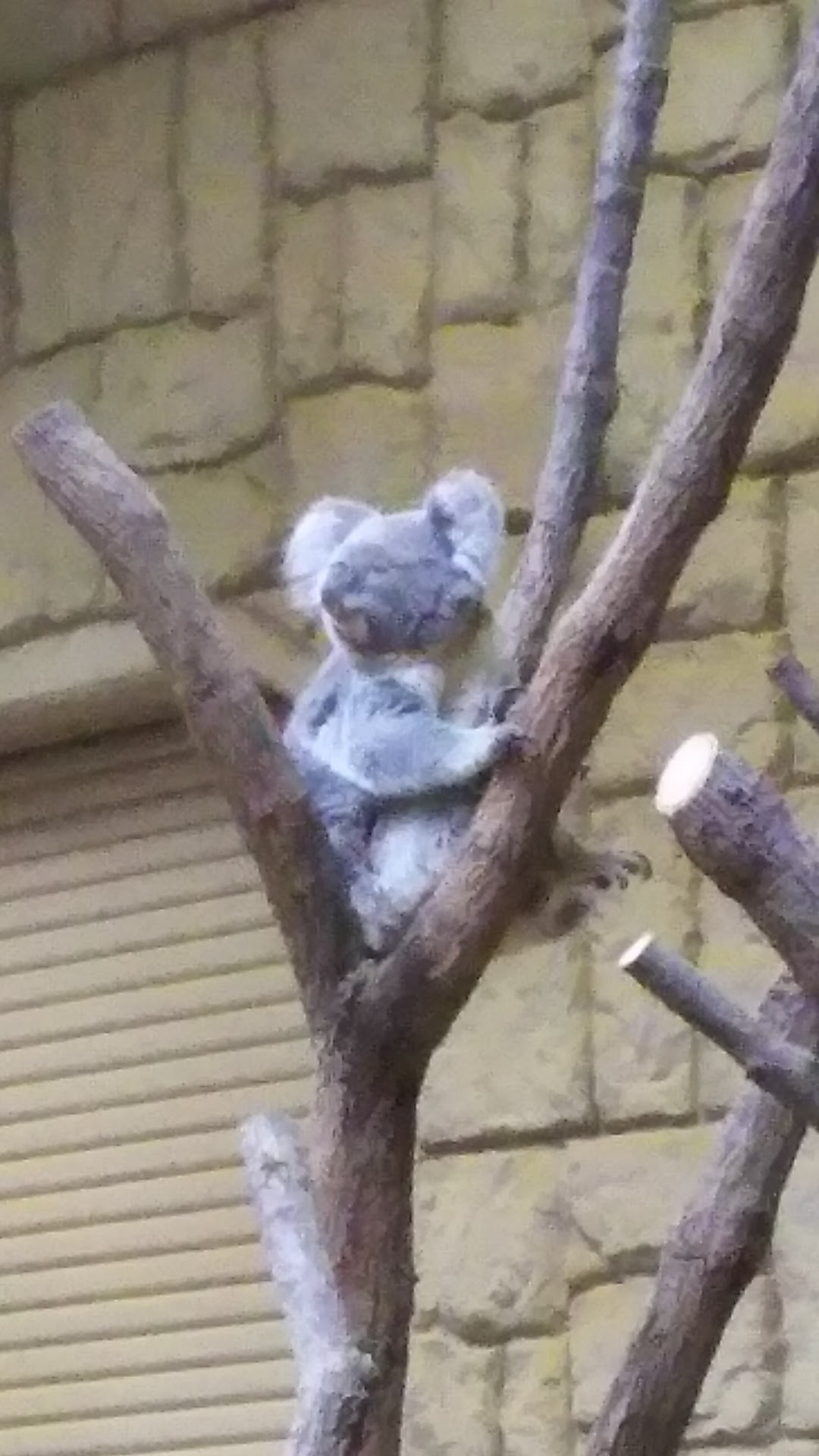 DSC_1692.jpg