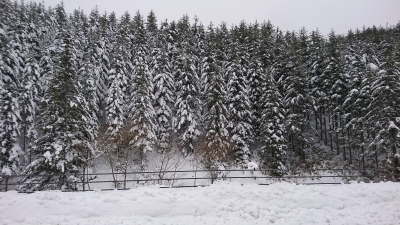 DSC_0120.jpg