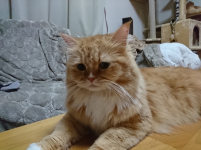 DSC_1009.jpg