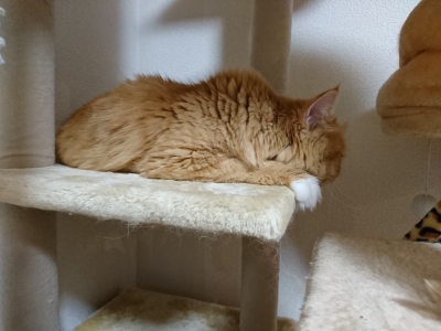DSC_1126.jpg