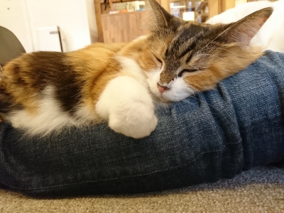 DSC_1148.jpg