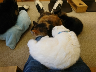 DSC_1144.jpg
