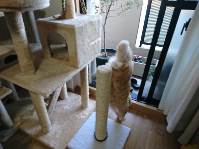 DSC_1209.jpg