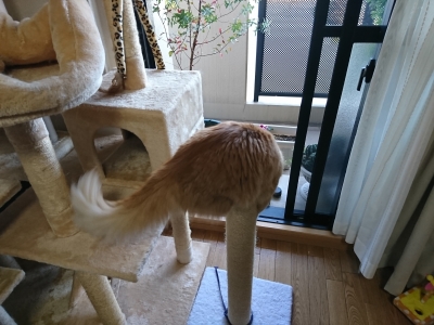 DSC_1208.jpg