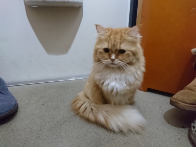 DSC_1472.jpg