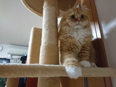 DSC_1671.jpg