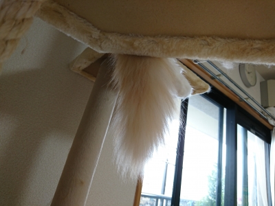 DSC_1793.jpg