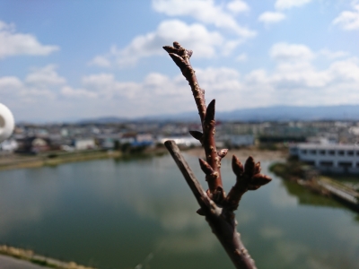 DSC_1816.jpg