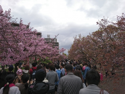 DSC_1958.jpg