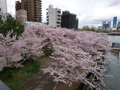 DSC_1943.jpg