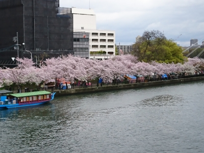 DSC_1941.jpg
