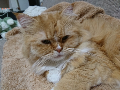 DSC_2043.jpg