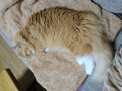 DSC_2034.jpg