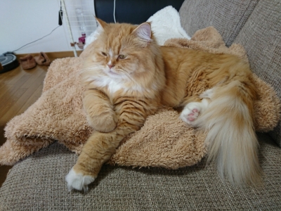 DSC_2308.jpg