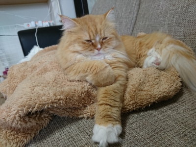 DSC_2304.jpg