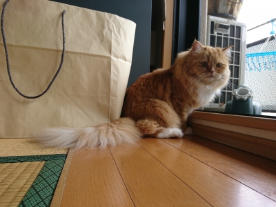 DSC_2354.jpg