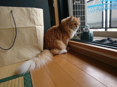 DSC_2347.jpg