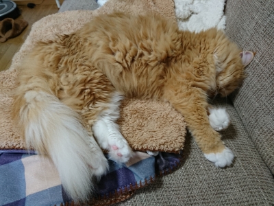 DSC_2392.jpg