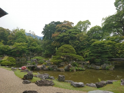 DSC_0007.jpg