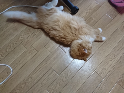 DSC_0214.jpg