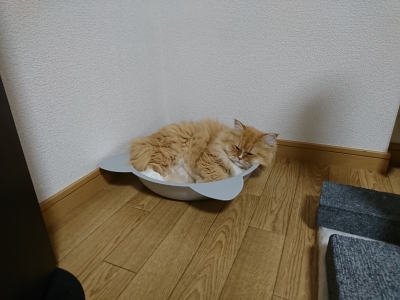 DSC_0240.jpg