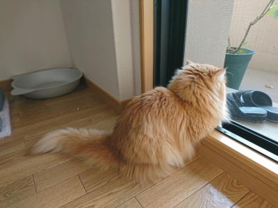 DSC_0363.jpg