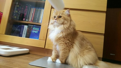 1501729466858.jpg