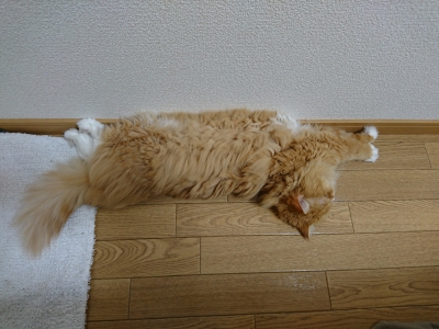 DSC_0058.jpg