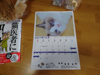 DSC_0080.jpg